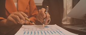 Supplier Development