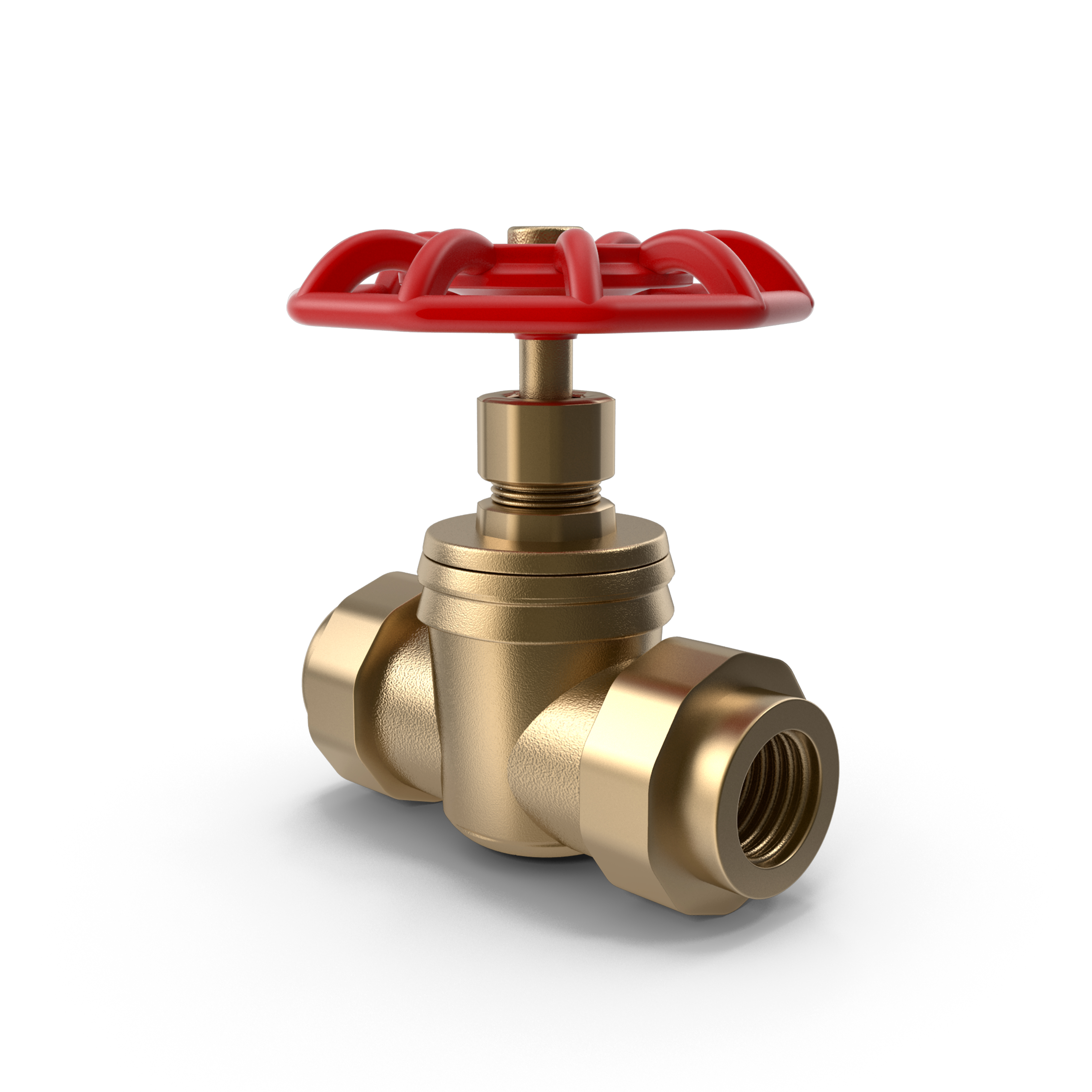 Forged Fittings